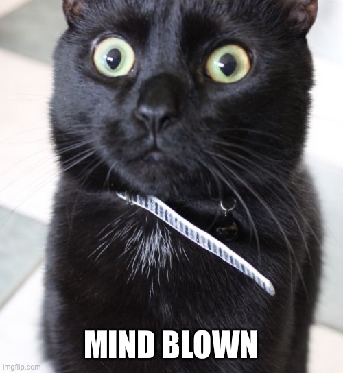 Woah Kitty | MIND BLOWN | image tagged in memes,woah kitty | made w/ Imgflip meme maker