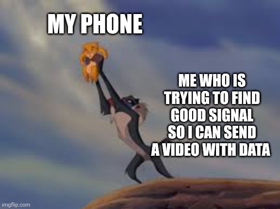 Lion King Lift |  MY PHONE; ME WHO IS TRYING TO FIND GOOD SIGNAL SO I CAN SEND A VIDEO WITH DATA | image tagged in lion king lift,memes,data,phone,signal,simba rafiki lion king | made w/ Imgflip meme maker