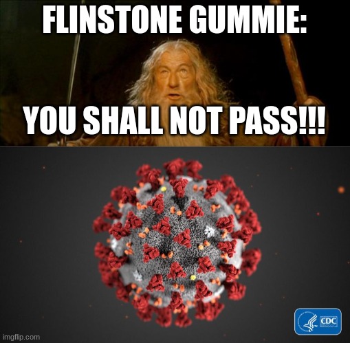 FLINSTONE GUMMIE:; YOU SHALL NOT PASS!!! | image tagged in gandalf you shall not pass,covid 19 | made w/ Imgflip meme maker