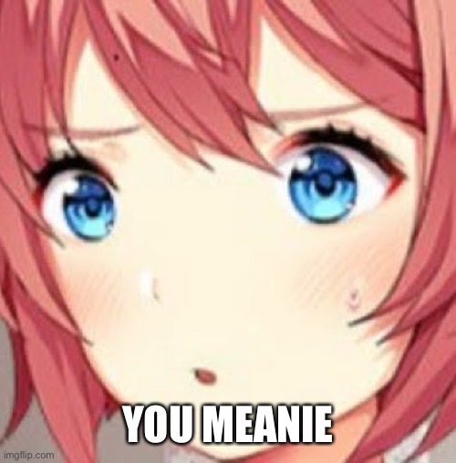 ddlc | YOU MEANIE | image tagged in ddlc | made w/ Imgflip meme maker