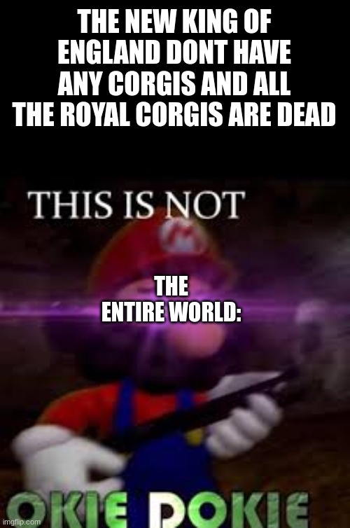 This is not okie dokie | THE NEW KING OF ENGLAND DONT HAVE ANY CORGIS AND ALL THE ROYAL CORGIS ARE DEAD; THE ENTIRE WORLD: | image tagged in this is not okie dokie | made w/ Imgflip meme maker