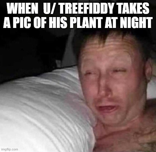 Sleepy guy | WHEN  U/ TREEFIDDY TAKES A PIC OF HIS PLANT AT NIGHT | image tagged in sleepy guy | made w/ Imgflip meme maker