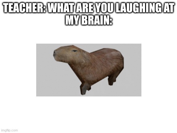 idk | TEACHER: WHAT ARE YOU LAUGHING AT
MY BRAIN: | image tagged in blank white template,e | made w/ Imgflip meme maker