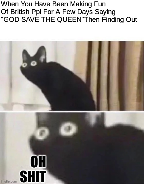 *seebee dissaster noises* |  When You Have Been Making Fun Of British Ppl For A Few Days Saying "GOD SAVE THE QUEEN"Then Finding Out; OH SHIT | image tagged in oh no black cat | made w/ Imgflip meme maker
