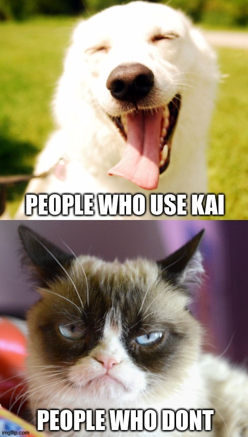 DONT WANNA BE LIKE PEOPLE WHO DONT USE KAI | image tagged in kai,kai ai,meme,funny,cats,mental health | made w/ Imgflip meme maker