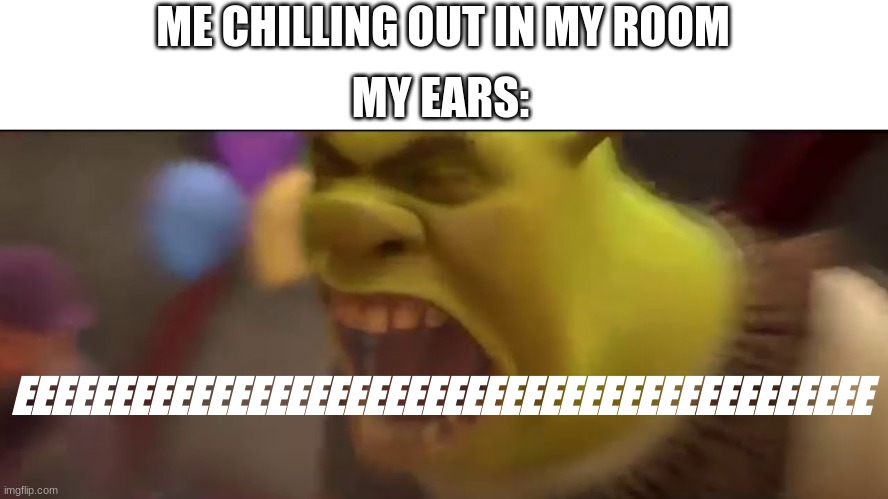 Shrek Screaming |  ME CHILLING OUT IN MY ROOM; MY EARS:; EEEEEEEEEEEEEEEEEEEEEEEEEEEEEEEEEEEEEEEEEEEE | image tagged in shrek screaming | made w/ Imgflip meme maker