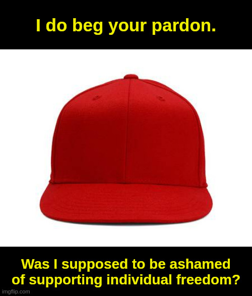 Loud And Proud |  I do beg your pardon. Was I supposed to be ashamed
of supporting individual freedom? | image tagged in trump hat,freedom,liberty,liberals,democrats,nazis | made w/ Imgflip meme maker