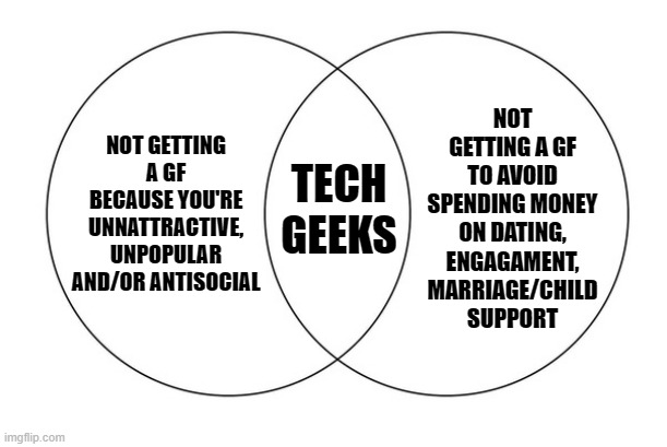 venn diagram | NOT GETTING A GF TO AVOID SPENDING MONEY ON DATING, ENGAGAMENT, MARRIAGE/CHILD SUPPORT; NOT GETTING A GF BECAUSE YOU'RE UNNATTRACTIVE, UNPOPULAR AND/OR ANTISOCIAL; TECH GEEKS | image tagged in venn diagram | made w/ Imgflip meme maker