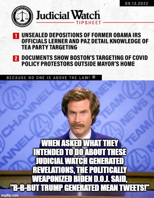 Yeah . . . here's some genuine reality for you leftists. | WHEN ASKED WHAT THEY INTENDED TO DO ABOUT THESE JUDICIAL WATCH GENERATED REVELATIONS, THE POLITICALLY WEAPONIZED BIDEN D.O.J. SAID, "B-B-BUT TRUMP GENERATED MEAN TWEETS!" | image tagged in reality | made w/ Imgflip meme maker