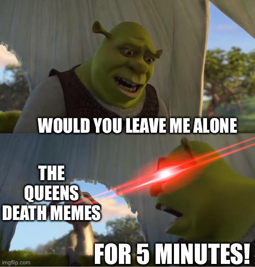 Like really |  WOULD YOU LEAVE ME ALONE; THE QUEENS DEATH MEMES; FOR 5 MINUTES! | image tagged in shrek for five minutes,queen | made w/ Imgflip meme maker