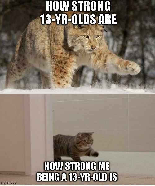 Strong | HOW STRONG 13-YR-OLDS ARE; HOW STRONG ME BEING A 13-YR-OLD IS | image tagged in tiger cat | made w/ Imgflip meme maker