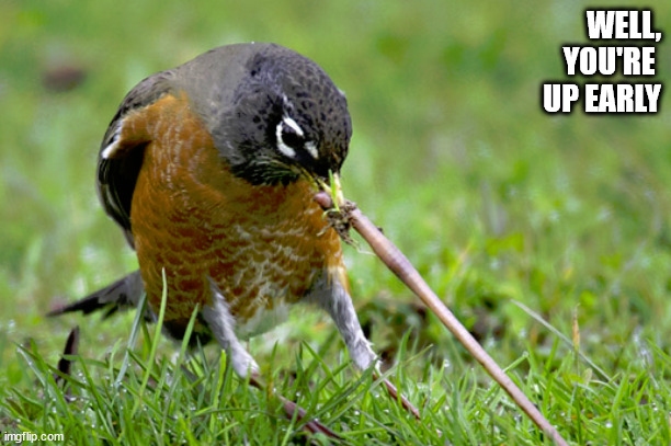 WELL, YOU'RE 
UP EARLY | image tagged in early bird | made w/ Imgflip meme maker