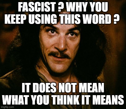 I do not think that word mean what you think it means |  FASCIST ? WHY YOU KEEP USING THIS WORD ? IT DOES NOT MEAN WHAT YOU THINK IT MEANS | image tagged in i do not think that word mean what you think it means | made w/ Imgflip meme maker