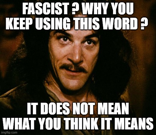 I do not think that word mean what you think it means | FASCIST ? WHY YOU KEEP USING THIS WORD ? IT DOES NOT MEAN WHAT YOU THINK IT MEANS | image tagged in i do not think that word mean what you think it means | made w/ Imgflip meme maker