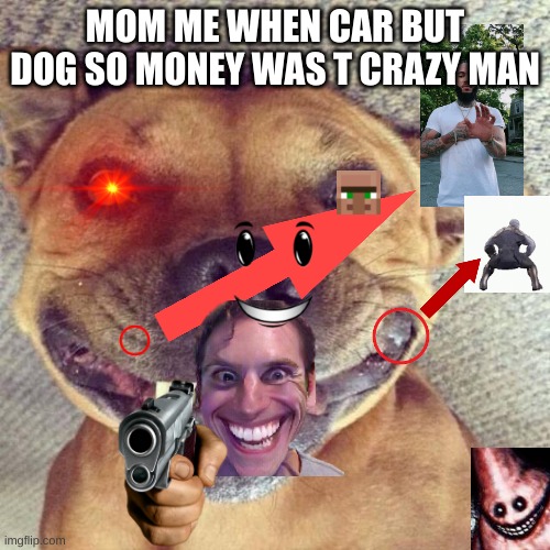 Relatable (cancer) | MOM ME WHEN CAR BUT DOG SO MONEY WAS T CRAZY MAN | image tagged in smiling dog | made w/ Imgflip meme maker