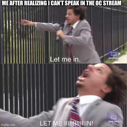 Ig I can’t talk to my friends to say how good their OCs are | ME AFTER REALIZING I CAN’T SPEAK IN THE OC STREAM | image tagged in let me in | made w/ Imgflip meme maker