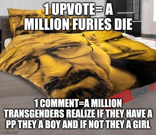 Breaking Bed | 1 UPVOTE= A MILLION FURIES DIE; 1 COMMENT=A MILLION TRANSGENDERS REALIZE IF THEY HAVE A PP THEY A BOY AND IF NOT THEY A GIRL | image tagged in breaking bed | made w/ Imgflip meme maker