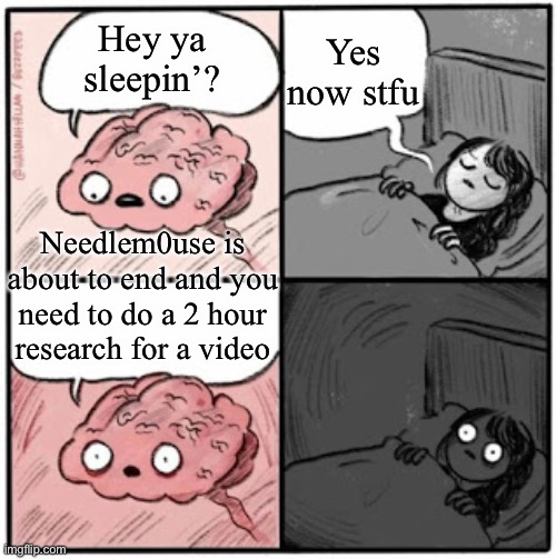 …? |  Yes now stfu; Hey ya sleepin’? Needlem0use is about to end and you need to do a 2 hour research for a video | image tagged in brain before sleep | made w/ Imgflip meme maker