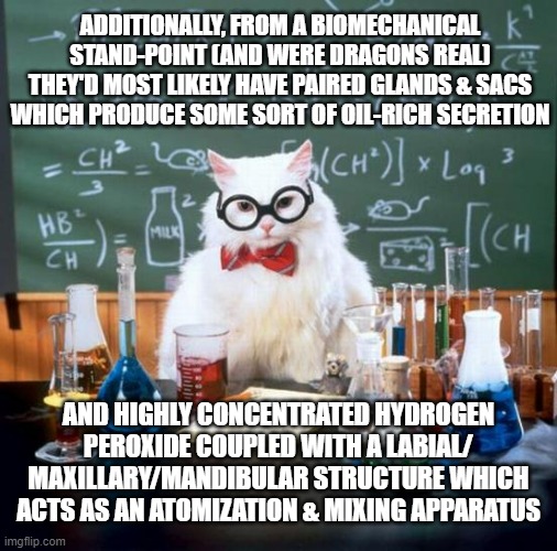 Chemistry Cat Meme | ADDITIONALLY, FROM A BIOMECHANICAL STAND-POINT (AND WERE DRAGONS REAL) THEY'D MOST LIKELY HAVE PAIRED GLANDS & SACS WHICH PRODUCE SOME SORT  | image tagged in memes,chemistry cat | made w/ Imgflip meme maker