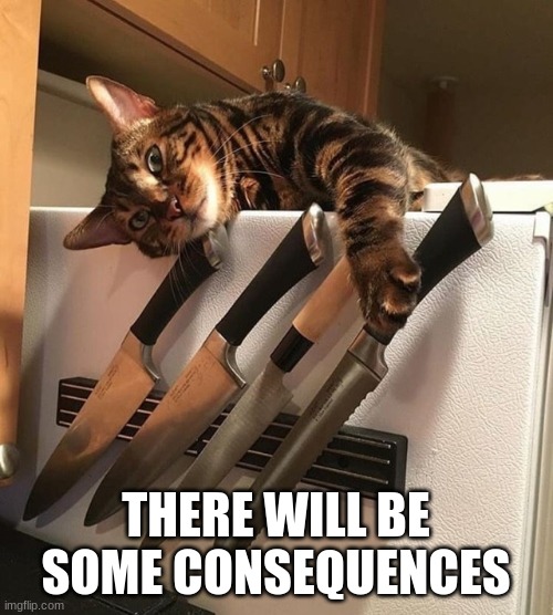 Cat with Knives | THERE WILL BE SOME CONSEQUENCES | image tagged in cat with knives | made w/ Imgflip meme maker