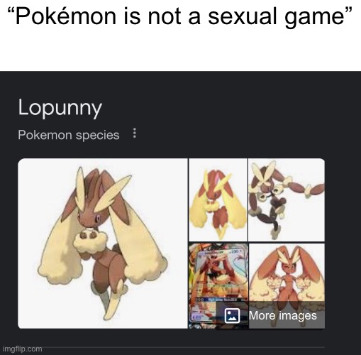 “Pokémon is not a sexual game” | made w/ Imgflip meme maker