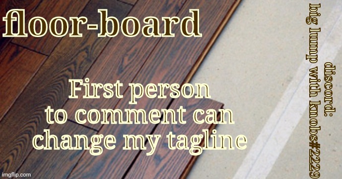 First person to comment can change my tagline | image tagged in honestly floorboards | made w/ Imgflip meme maker