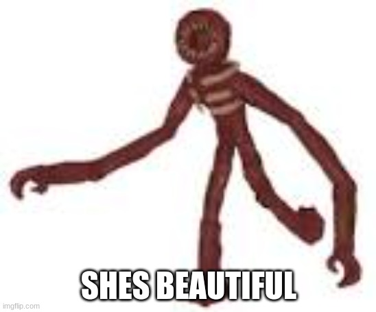 shes so pretty | SHES BEAUTIFUL | image tagged in doors,roblox meme,pretty | made w/ Imgflip meme maker