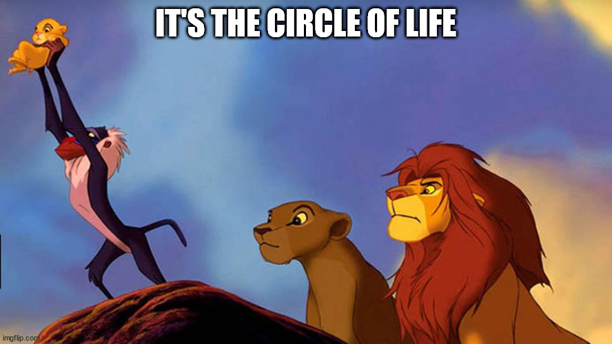 Circle of Life | IT'S THE CIRCLE OF LIFE | image tagged in circle of life | made w/ Imgflip meme maker