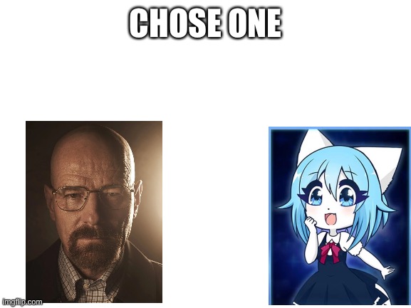 Blank White Template | CHOSE ONE | image tagged in blank white template | made w/ Imgflip meme maker