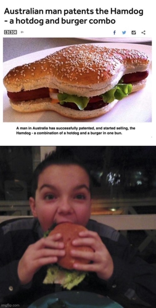 The Hamdog | image tagged in burger eating boi,reposts,repost,memes,hot dog,burger | made w/ Imgflip meme maker