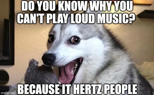 Pun dog - husky | DO YOU KNOW WHY YOU CAN'T PLAY LOUD MUSIC? BECAUSE IT HERTZ PEOPLE | image tagged in pun dog - husky,puns,bad pun,eyeroll | made w/ Imgflip meme maker