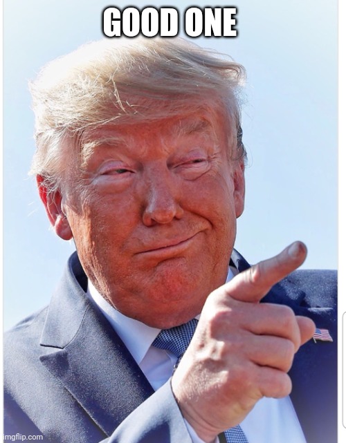 Trump pointing | GOOD ONE | image tagged in trump pointing | made w/ Imgflip meme maker