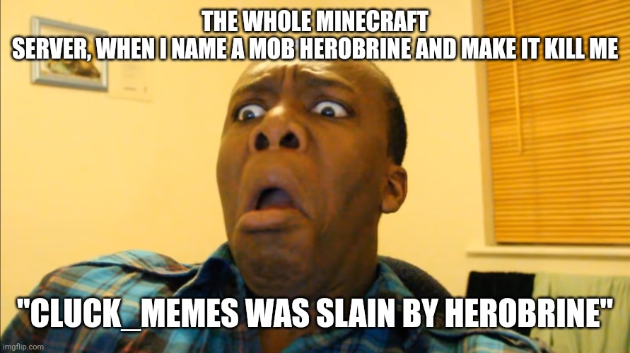 Shocked KSI | THE WHOLE MINECRAFT SERVER, WHEN I NAME A MOB HEROBRINE AND MAKE IT KILL ME; "CLUCK_MEMES WAS SLAIN BY HEROBRINE" | image tagged in shocked ksi | made w/ Imgflip meme maker