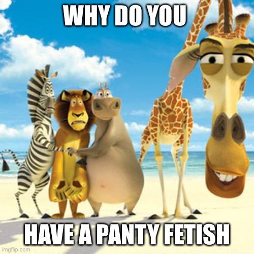 why are you white | WHY DO YOU HAVE A PANTY FETISH | image tagged in why are you white | made w/ Imgflip meme maker