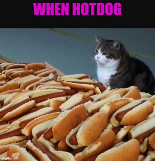 Cat hotdogs | WHEN HOTDOG | image tagged in cat hotdogs | made w/ Imgflip meme maker