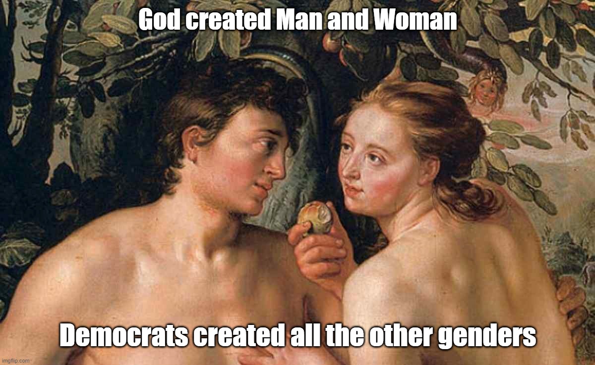 God created Man and Woman; Democrats created all the other genders | image tagged in god,adam and eve,lgbtq,straight pride,transgendering,man and woman | made w/ Imgflip meme maker
