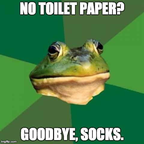Foul Bachelor Frog | NO TOILET PAPER? GOODBYE, SOCKS. | image tagged in memes,foul bachelor frog,AdviceAnimals | made w/ Imgflip meme maker