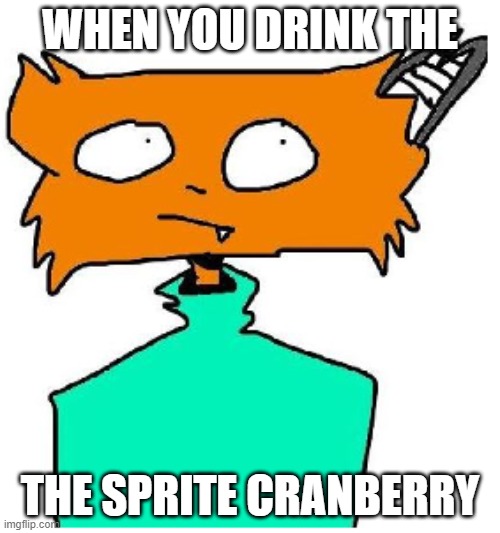 sprit crunbury |  WHEN YOU DRINK THE; THE SPRITE CRANBERRY | image tagged in confused | made w/ Imgflip meme maker