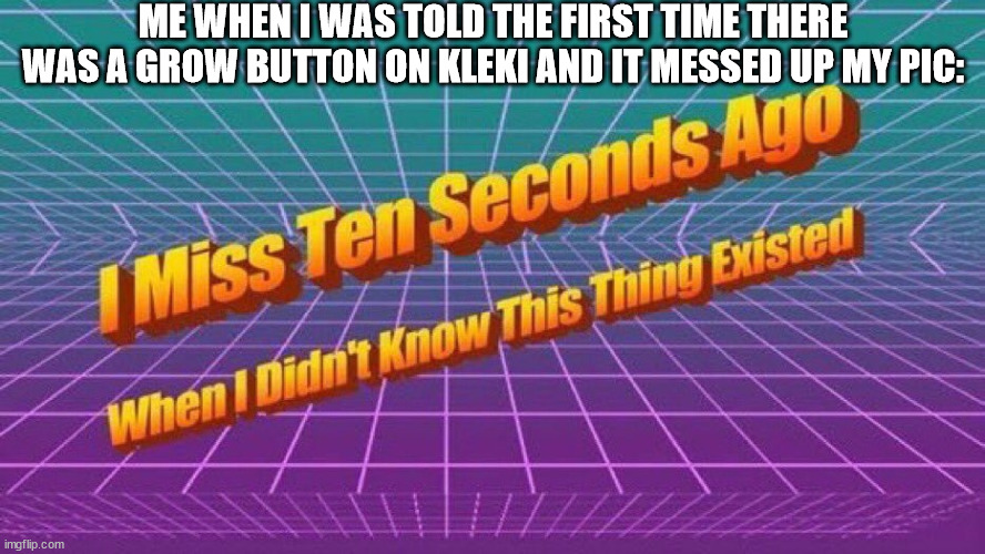 I miss ten seconds ago | ME WHEN I WAS TOLD THE FIRST TIME THERE WAS A GROW BUTTON ON KLEKI AND IT MESSED UP MY PIC: | image tagged in i miss ten seconds ago | made w/ Imgflip meme maker