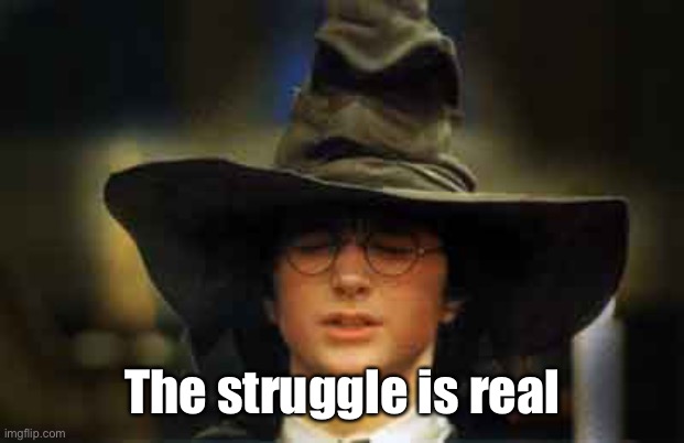 Harry Potter sorting hat | The struggle is real | image tagged in harry potter sorting hat | made w/ Imgflip meme maker