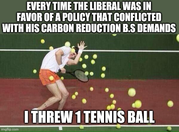 tennis | EVERY TIME THE LIBERAL WAS IN FAVOR OF A POLICY THAT CONFLICTED WITH HIS CARBON REDUCTION B.S DEMANDS; I THREW 1 TENNIS BALL | image tagged in tennis | made w/ Imgflip meme maker