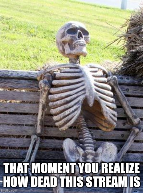 Waiting Skeleton | THAT MOMENT YOU REALIZE HOW DEAD THIS STREAM IS | image tagged in memes,waiting skeleton,dead,skull | made w/ Imgflip meme maker