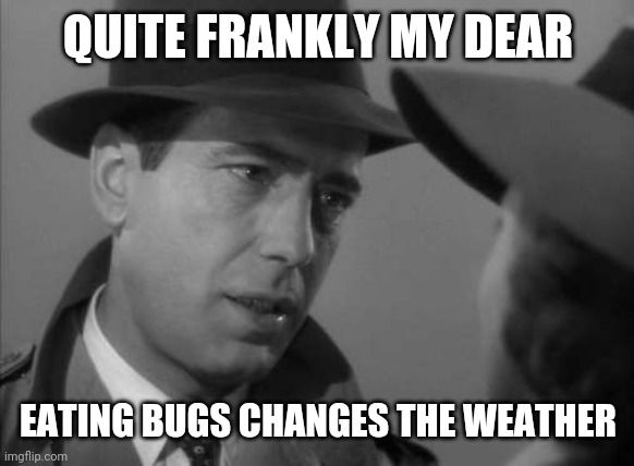 Edited for liberals* | QUITE FRANKLY MY DEAR; EATING BUGS CHANGES THE WEATHER | image tagged in casablanca humphry bogart | made w/ Imgflip meme maker