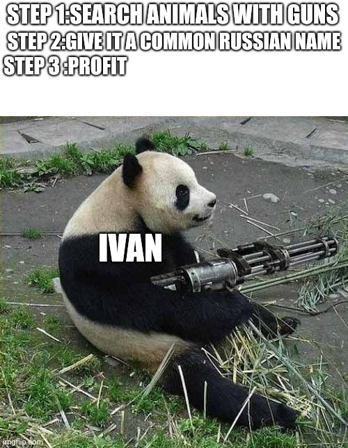 Panda with a gun | STEP 1:SEARCH ANIMALS WITH GUNS; STEP 2:GIVE IT A COMMON RUSSIAN NAME; STEP 3 :PROFIT; IVAN | image tagged in animals,funny | made w/ Imgflip meme maker