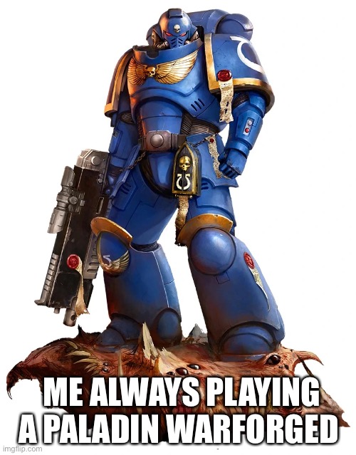 ME ALWAYS PLAYING A PALADIN WARFORGED | made w/ Imgflip meme maker