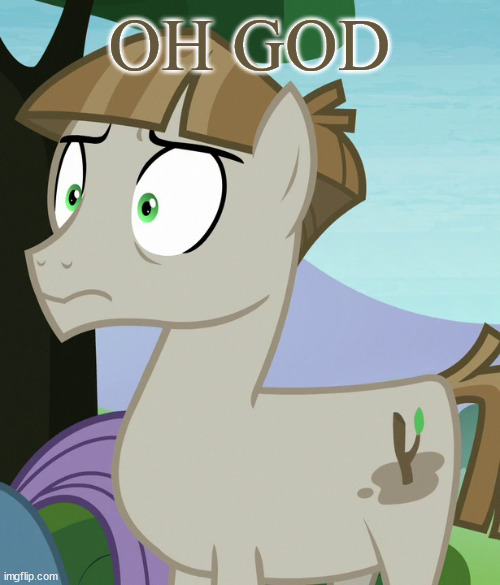 no no | OH GOD | image tagged in shocked mudbriar mlp | made w/ Imgflip meme maker