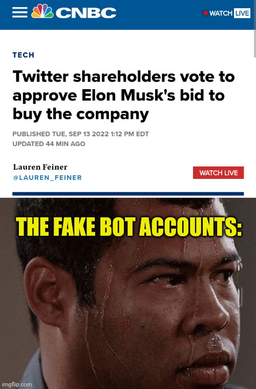 THE FAKE BOT ACCOUNTS: | image tagged in sweaty tryhard,twitter,elon musk | made w/ Imgflip meme maker