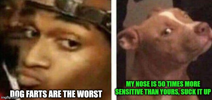 Think about it | MY NOSE IS 50 TIMES MORE SENSITIVE THAN YOURS, SUCK IT UP; DOG FARTS ARE THE WORST | image tagged in idk man and dog | made w/ Imgflip meme maker