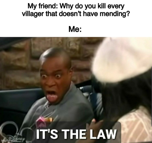I NEED THAT MENDING | My friend: Why do you kill every villager that doesn’t have mending? Me: | image tagged in it's the law | made w/ Imgflip meme maker
