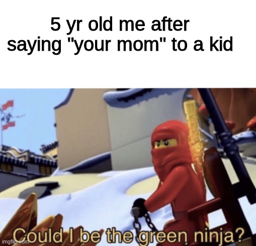 its true | 5 yr old me after saying "your mom" to a kid | image tagged in could i be the green ninja | made w/ Imgflip meme maker